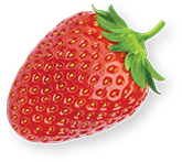 1.4.6 StrawberryInfusedSugar_Pieces-2 1.4.6 StrawberryInfusedSugar_Pieces-2