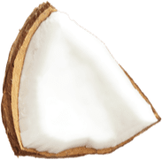 CoconutChocolates_Pieces-3 CoconutChocolates_Pieces-3